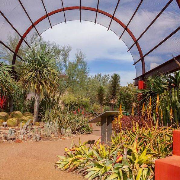 Phoenix Kids Activities