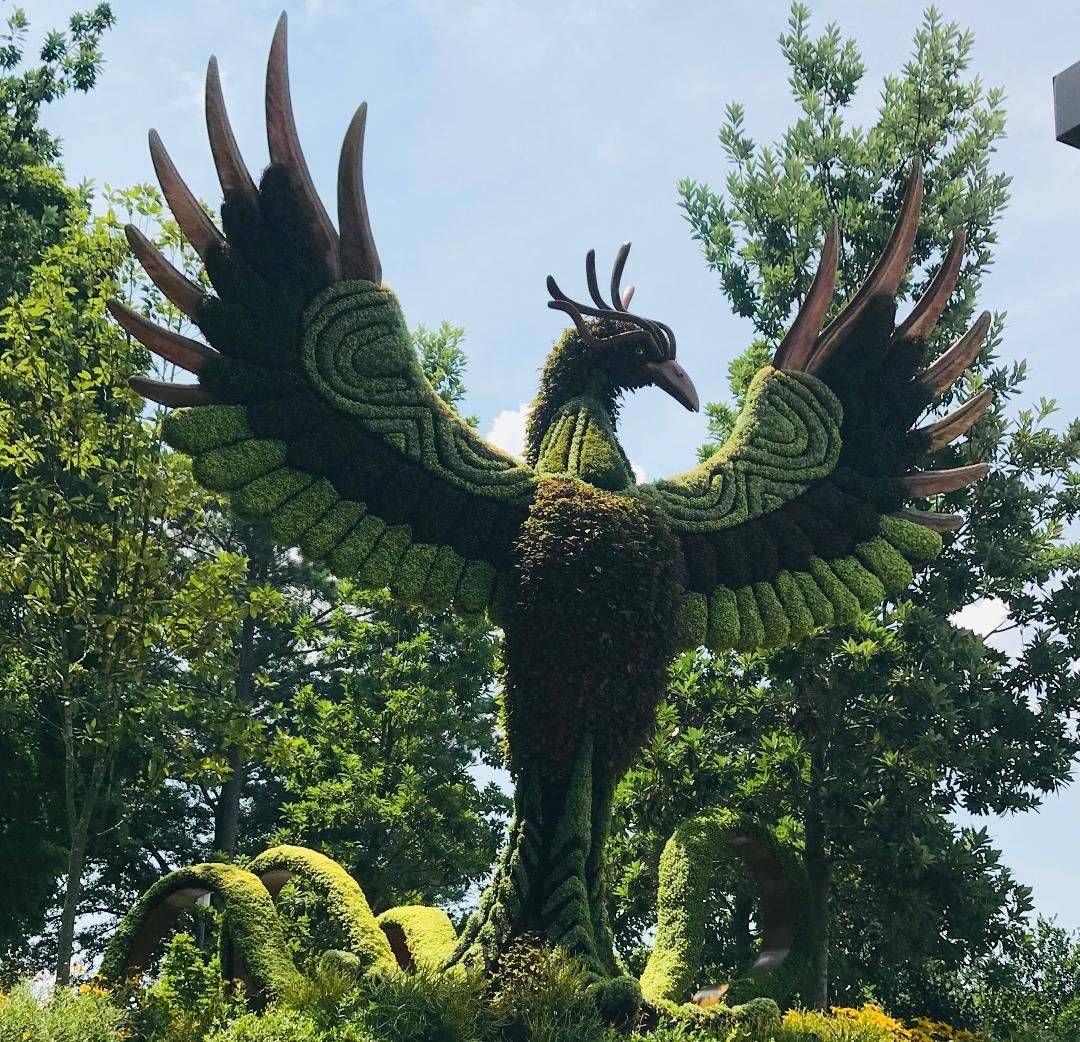 Desert Botanical Garden Phoenix Field Trip