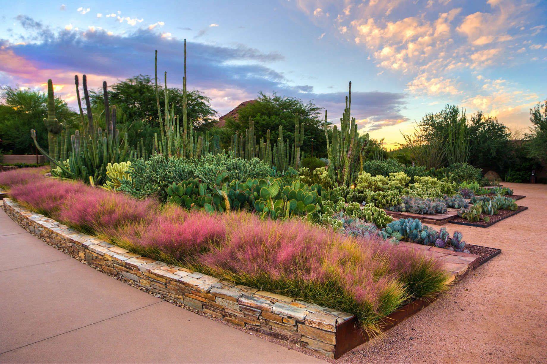 25 Botanical Garden in Phoenix Ideas Worth to Check SharonSable