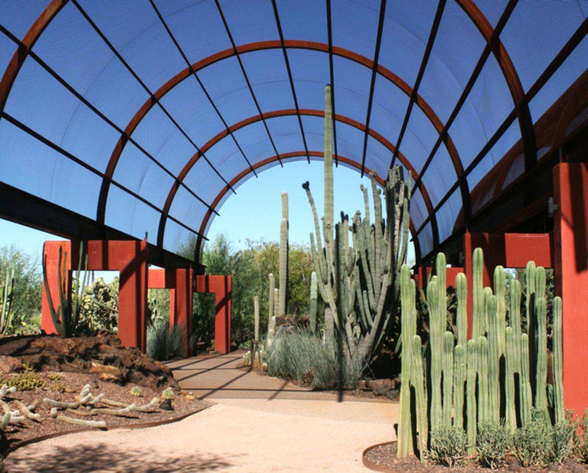 Phoenixscottsdale Desert