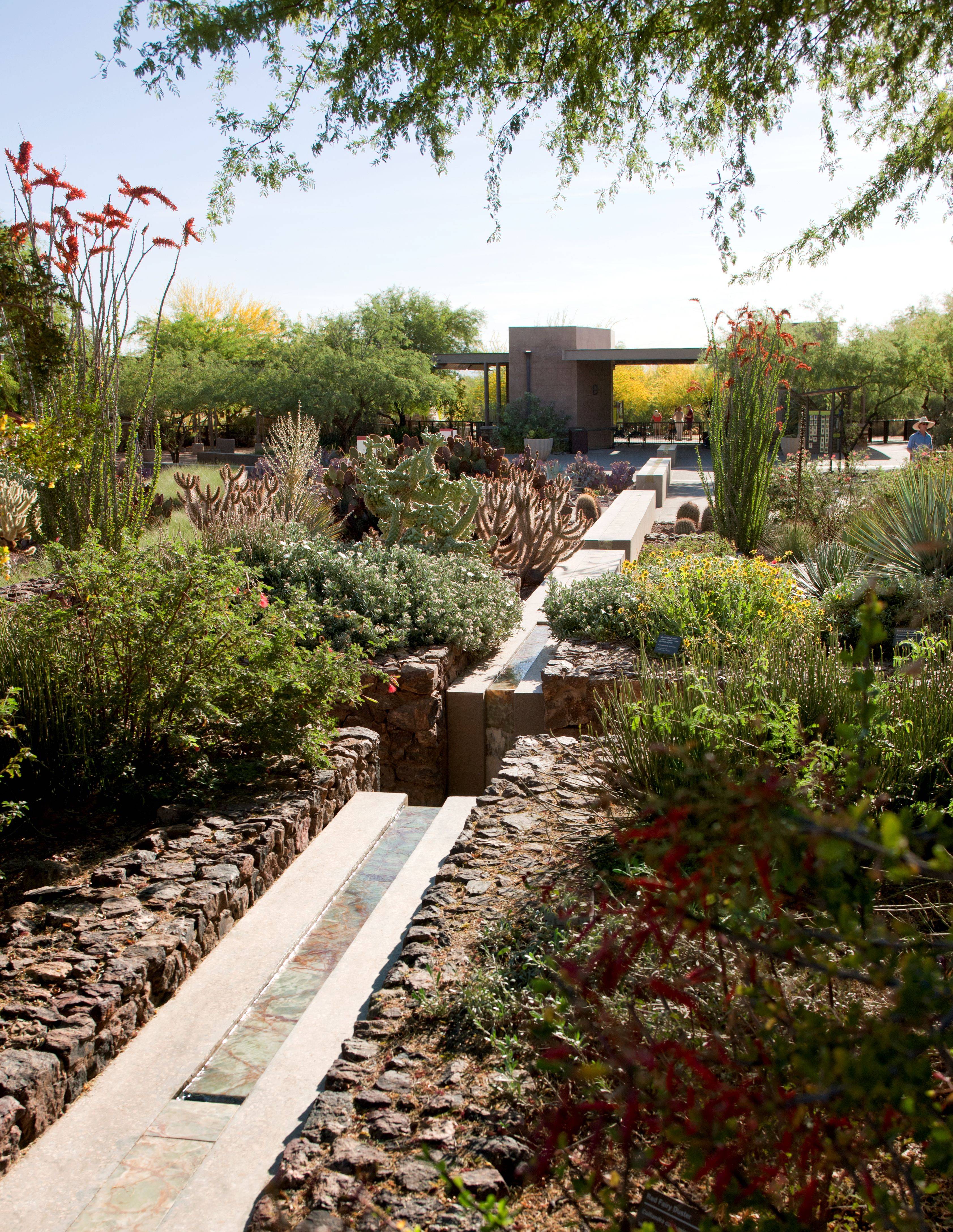 Atlanta Botanical Gardens