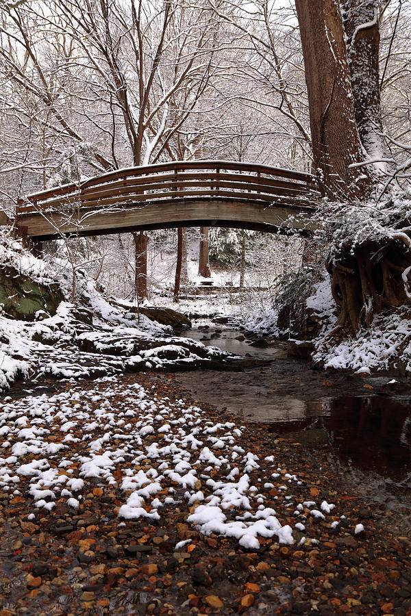 Botanical Gardens Asheville Nc Asheville Wedding