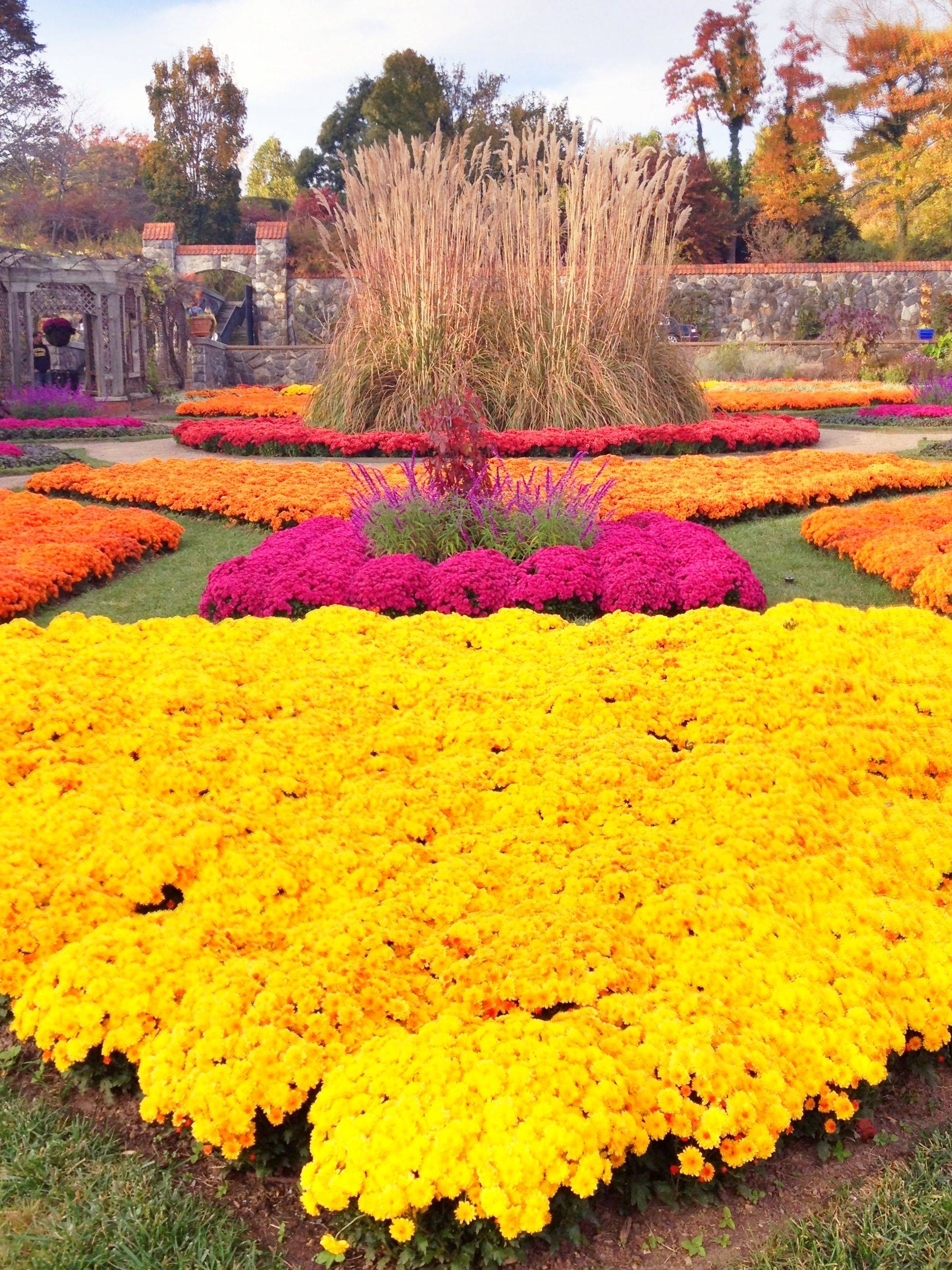 Botanical Gardens Asheville Nc Home Garden