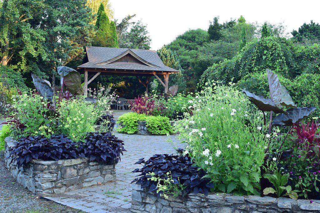 More Biltmore Photos