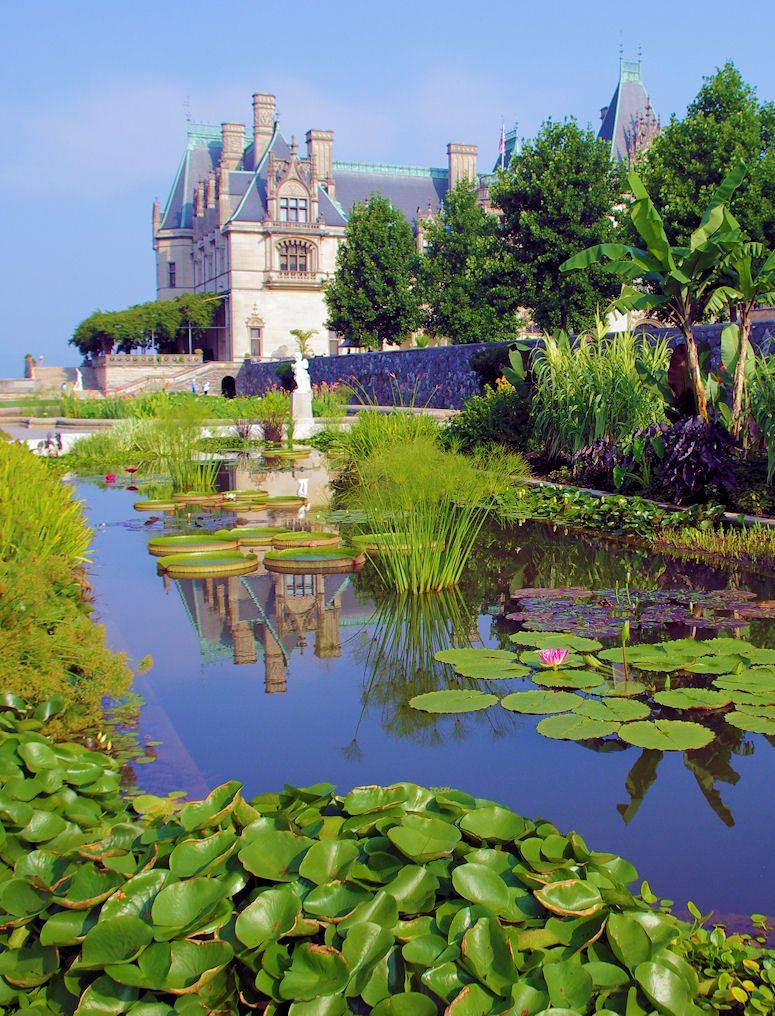 Biltmores Rose Garden