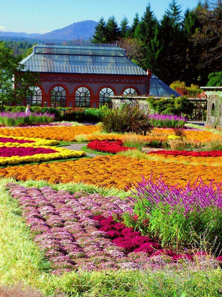 The Botanical Gardens