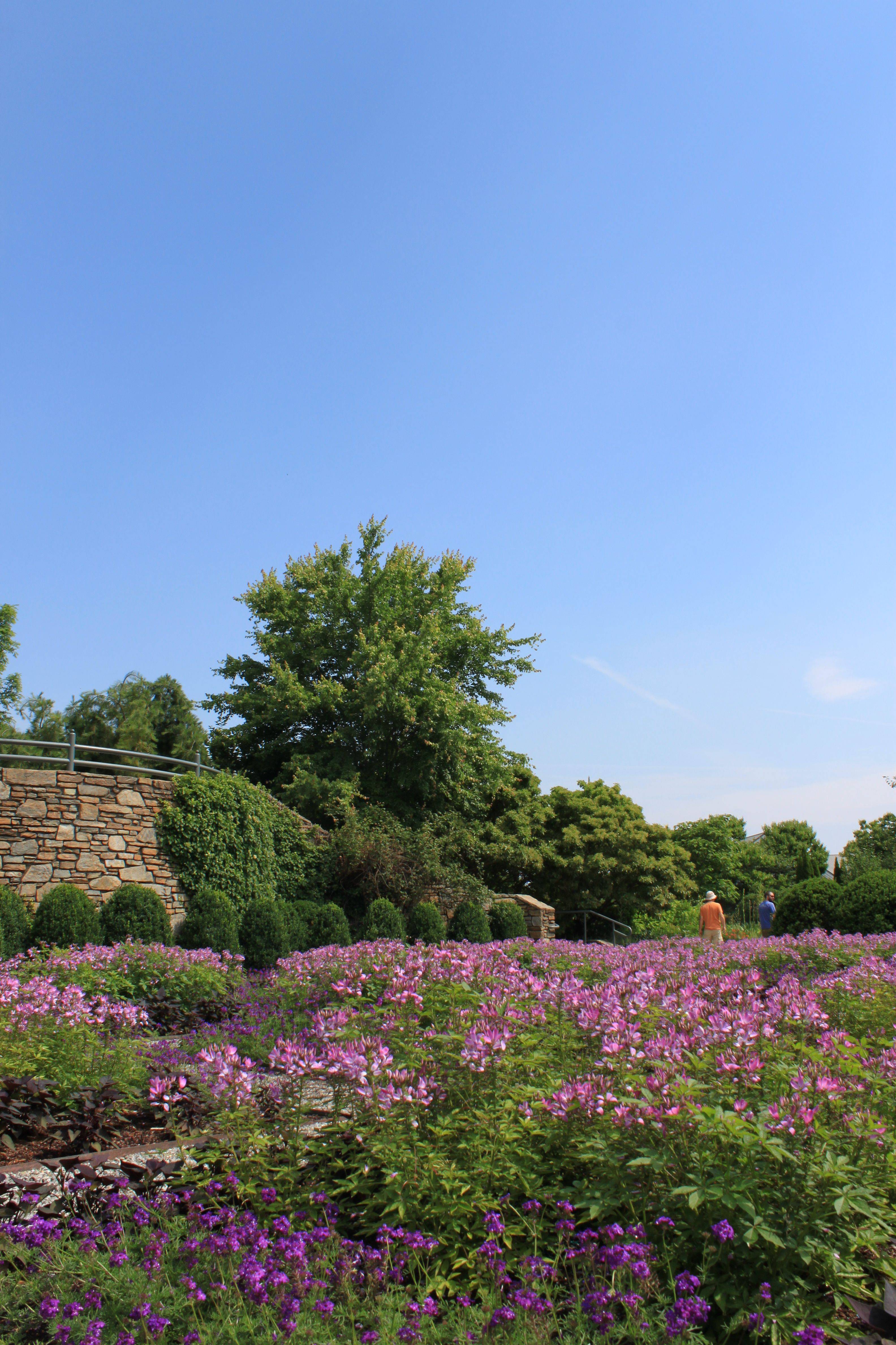 The Botanical Gardens