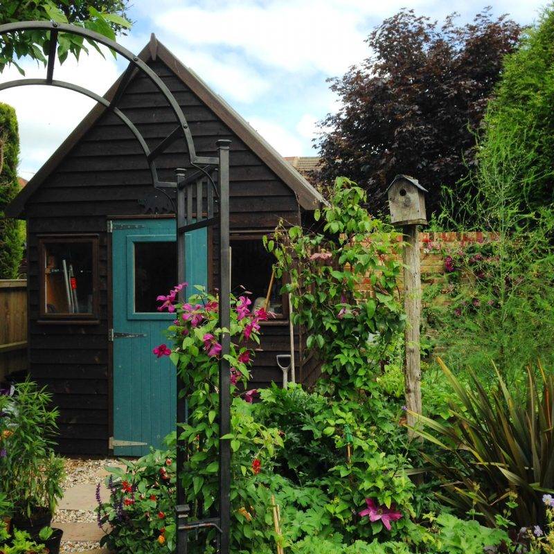 Melbourne Shed Small Pool Design