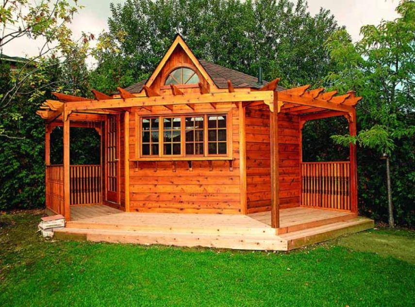 An Outdoor Shed