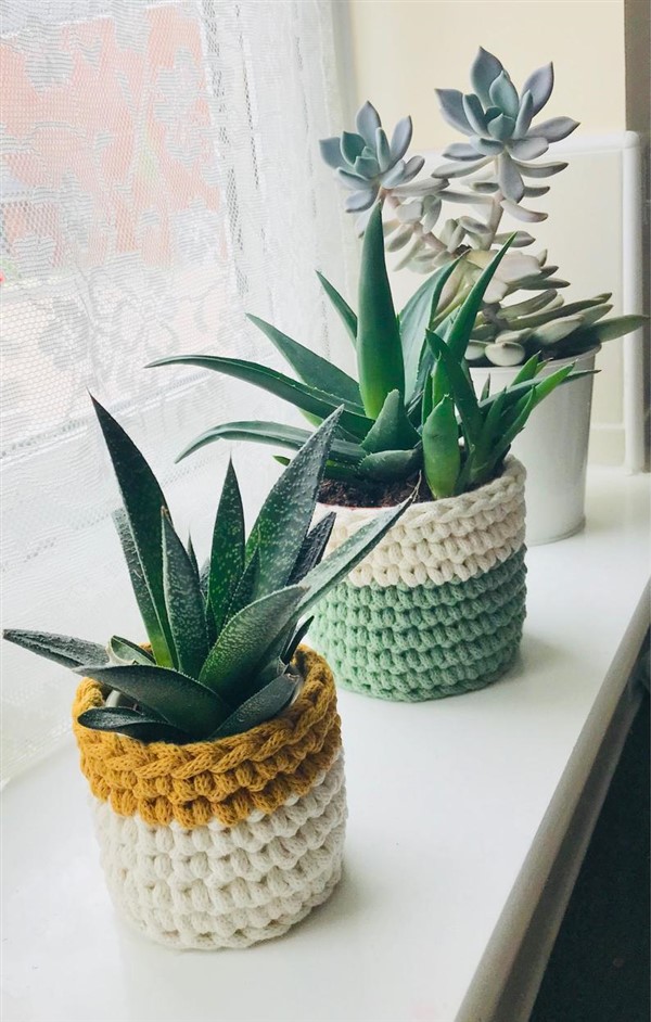 Crochet Mushroom Garden