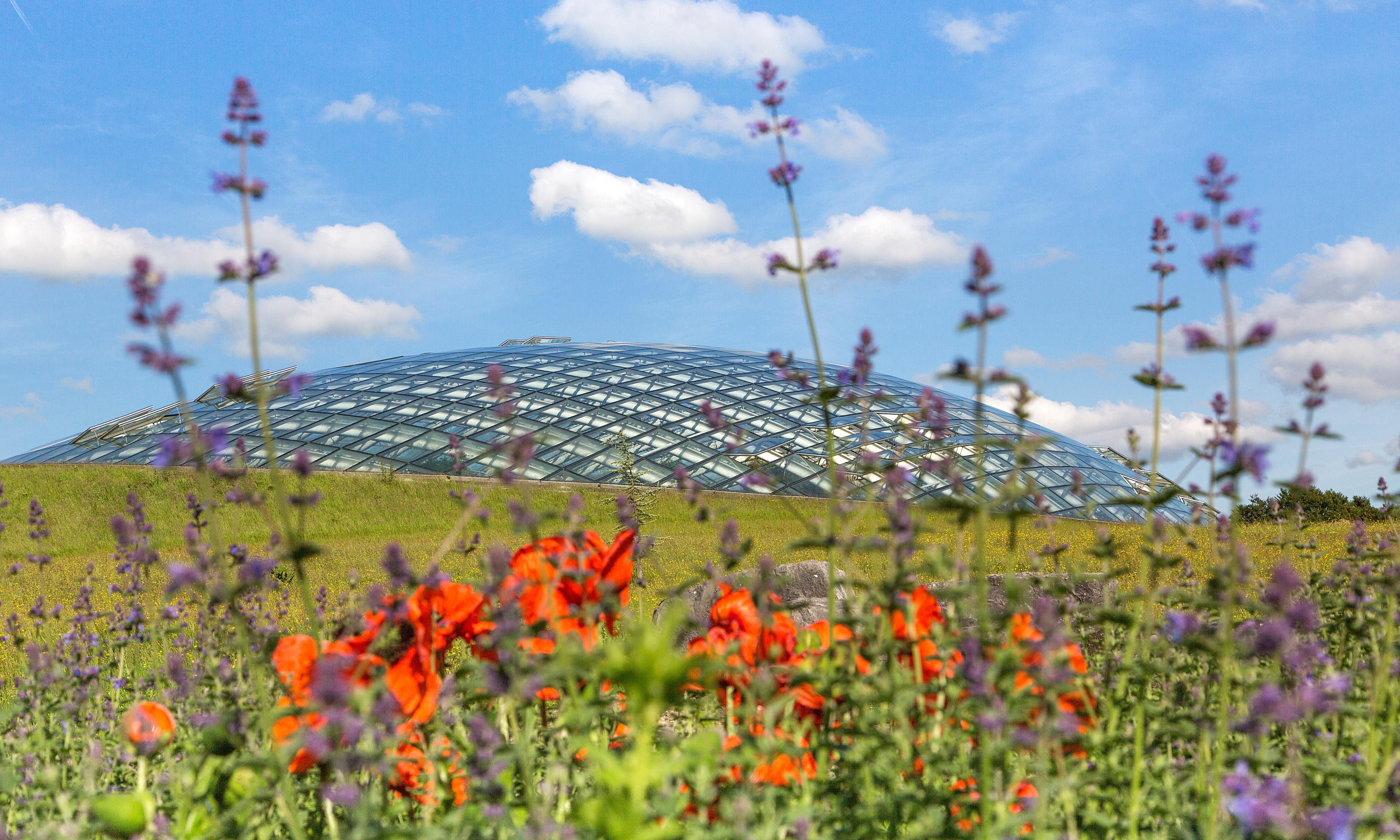 New The Best Garden Ideas