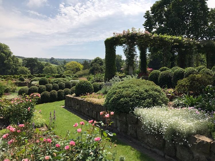 The World Cheapflights