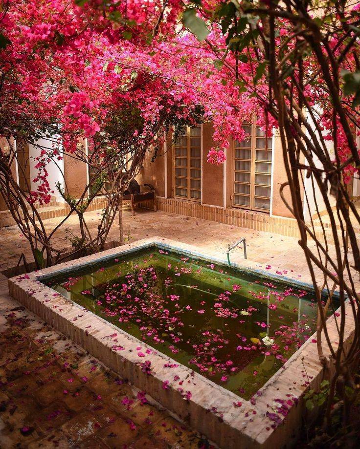 Most Beautiful Gardens