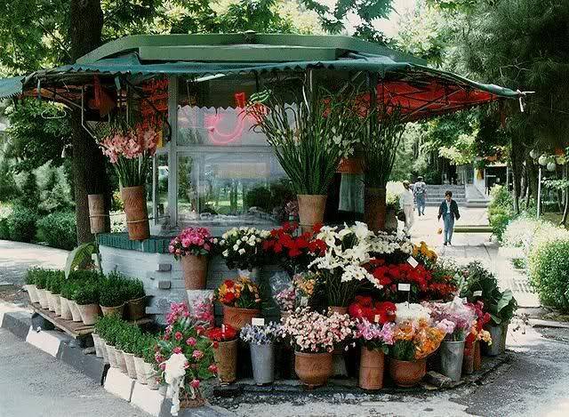 Tehran Photos