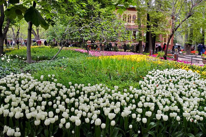 Persian Garden