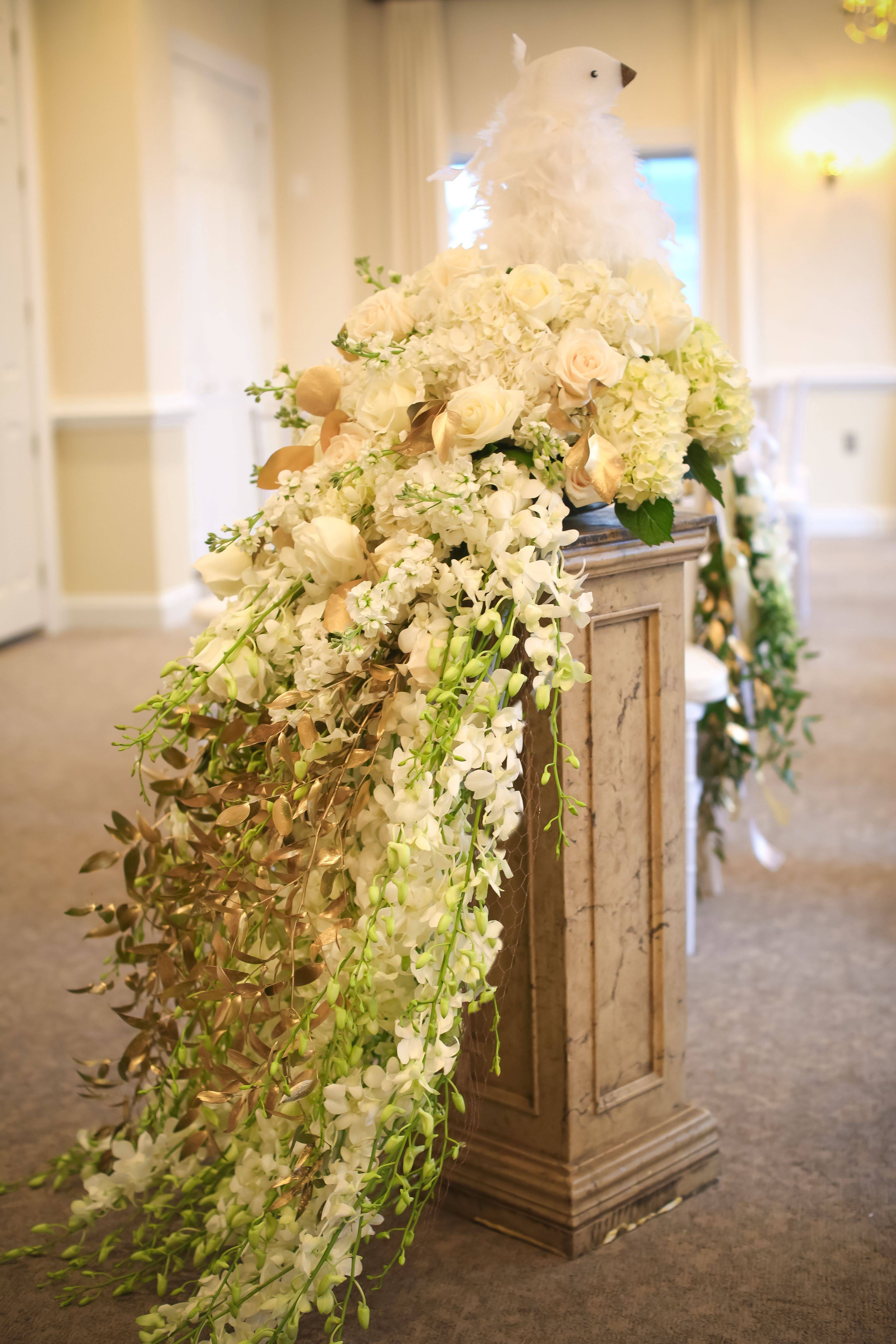 Scoopnest Moroccan Garden