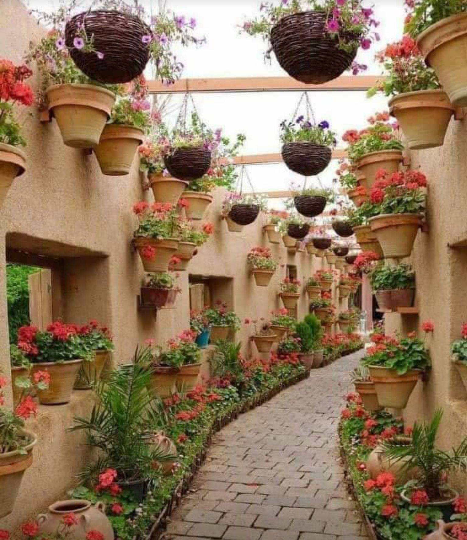 Persia House Designs Exterior