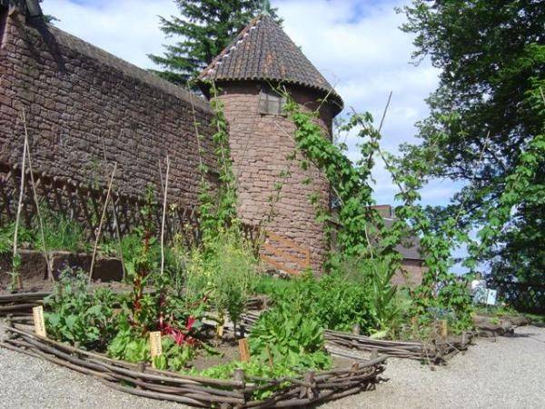 Medieval Gardens Farming Ideas