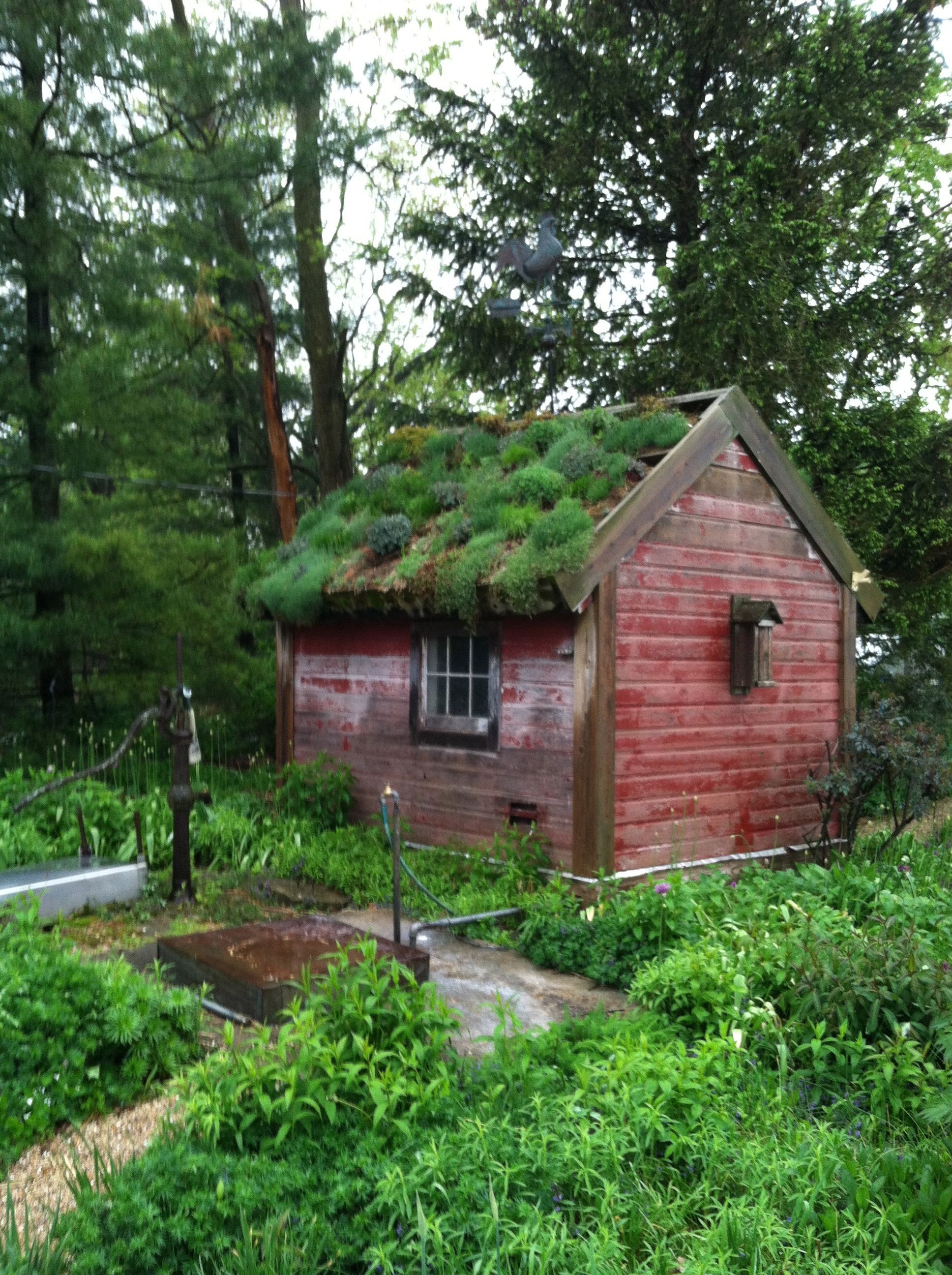 Jennys Garden Shed