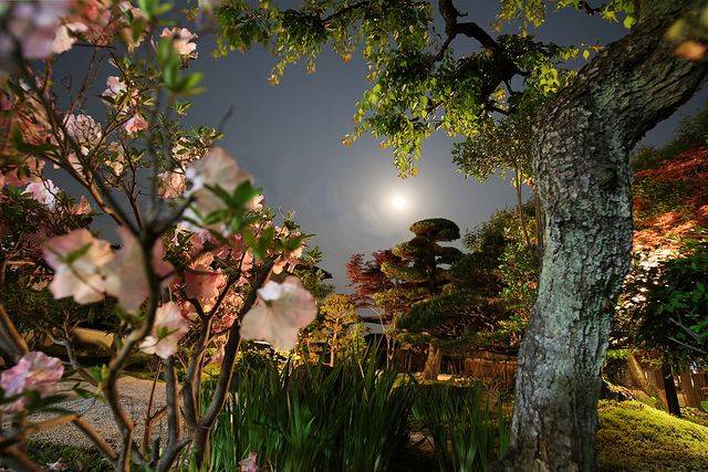 Garden Designer Scott Ogden