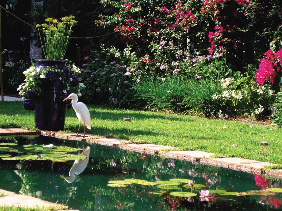 Moonlit Garden Gothic Landscape