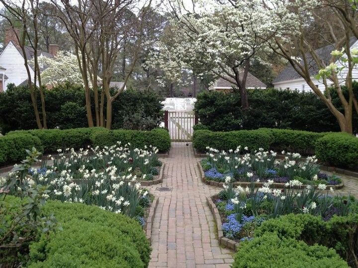 Beautiful Moon Garden