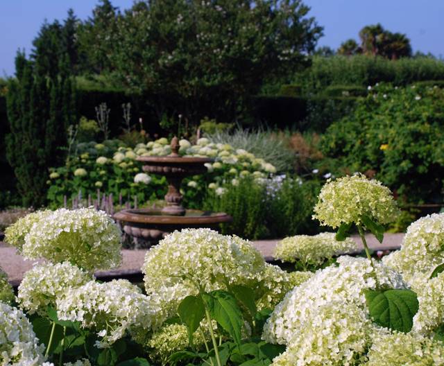 Peony Garden Designs