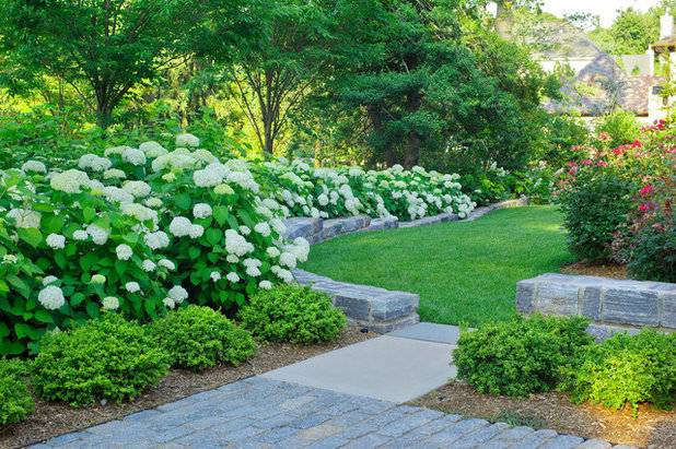 Best Summer Container Garden Ideas