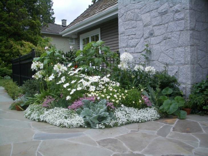 Untitled Cottage Garden