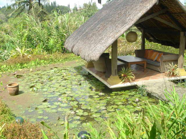 Moon Garden Tagaytay Ideas