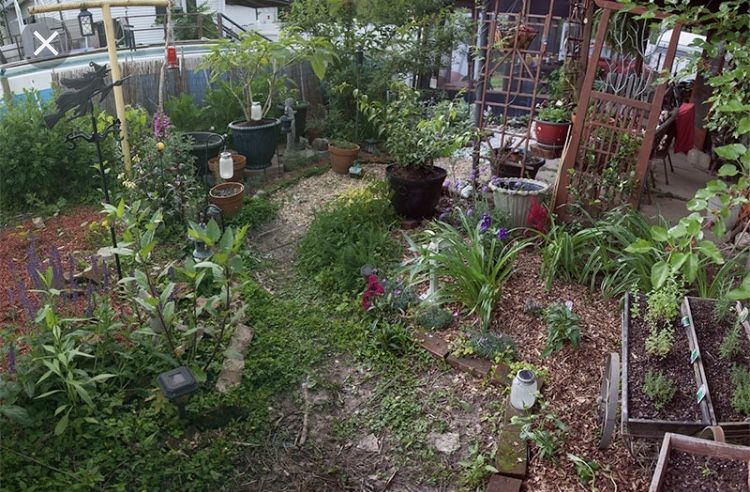 The Witchs Garden Home Decor