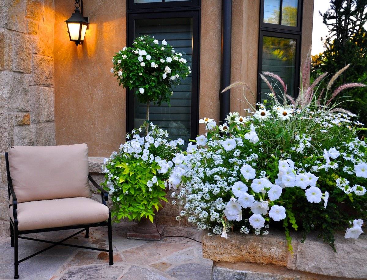 Beautiful Flower Bed Ideas