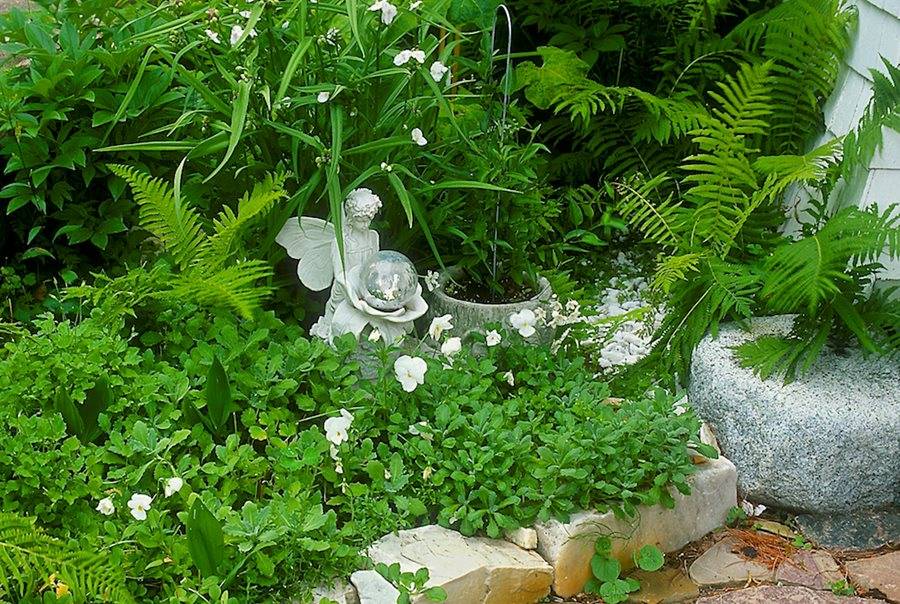 Best Home Gardens Moon Garden