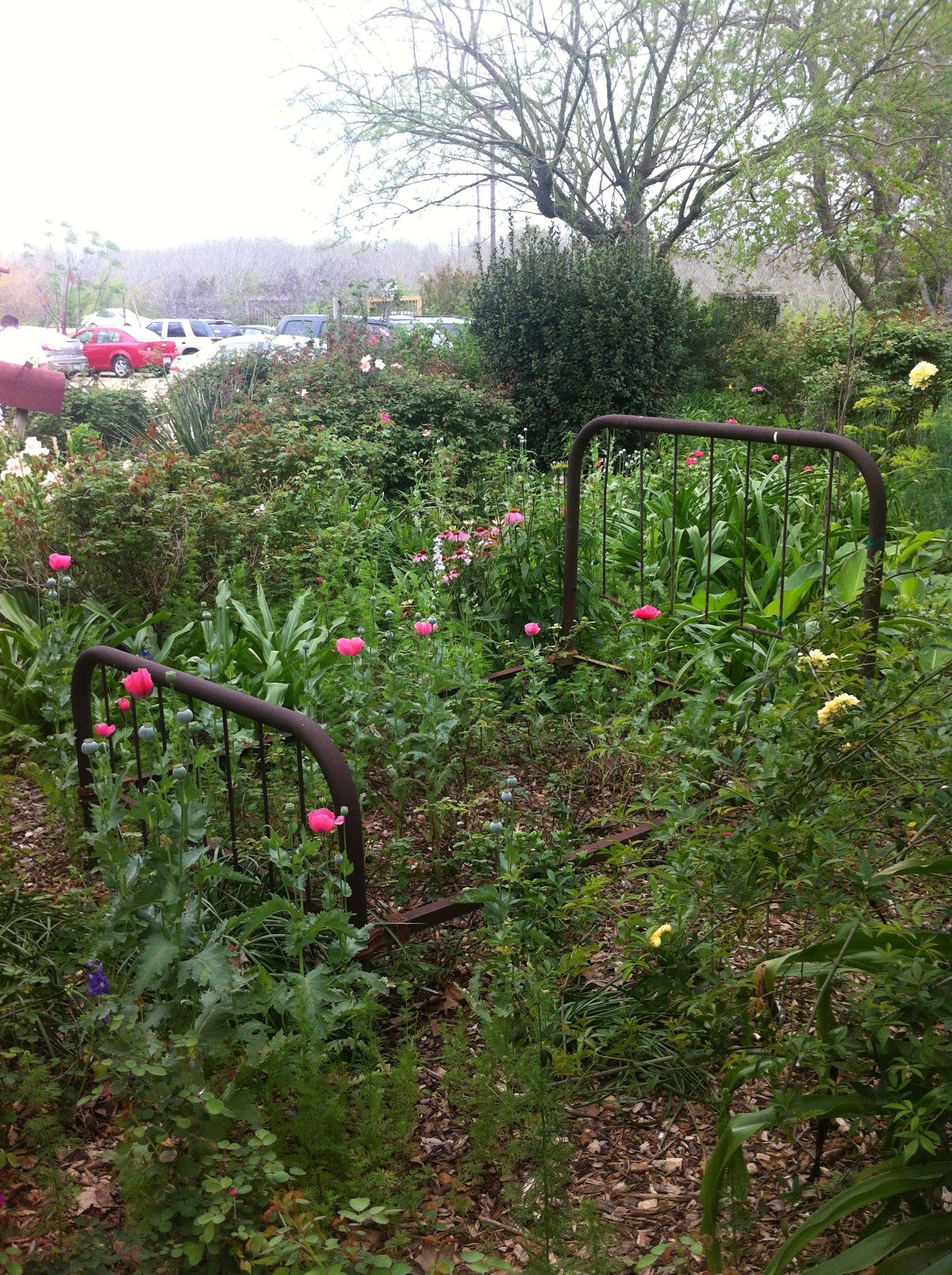 The Rose Garden