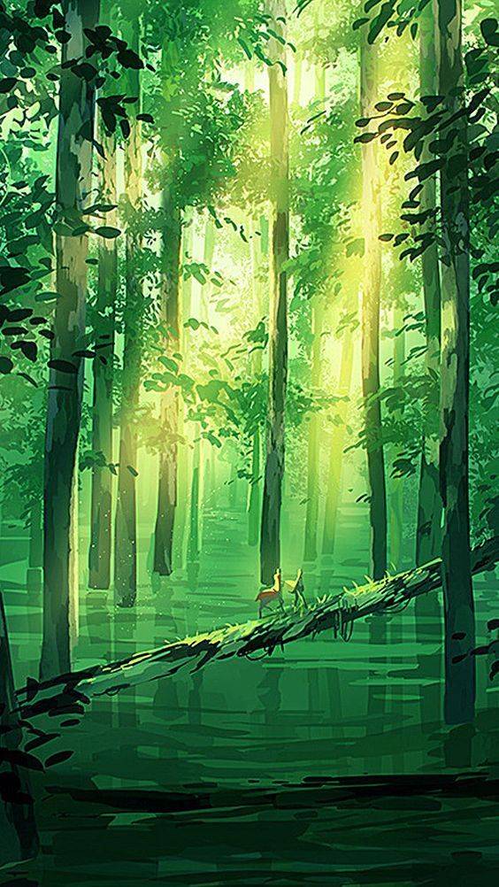 Super Tree House Concept Design Ideas Tree House Drawing Concept