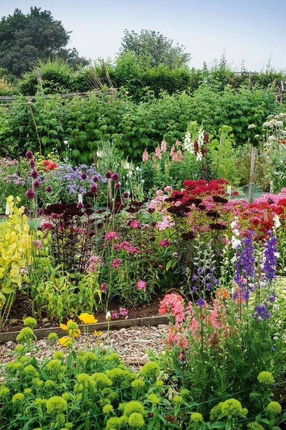 Beautiful And Functional Flower Garden Paths