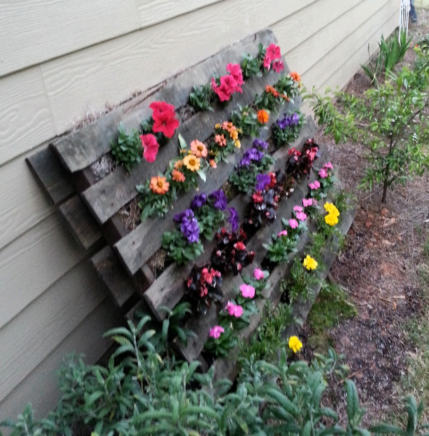 Cut Flower Garden