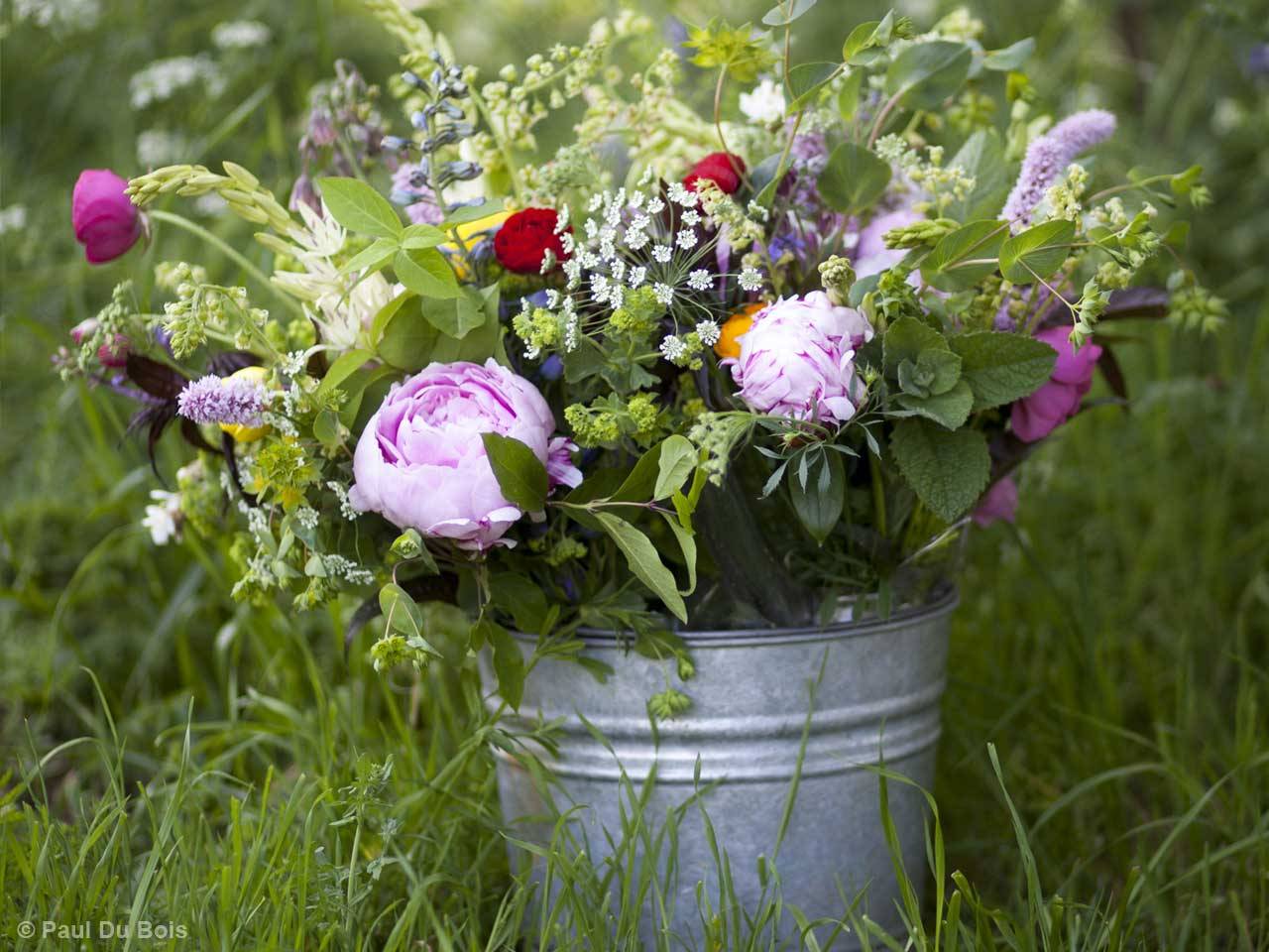 Cottage Garden