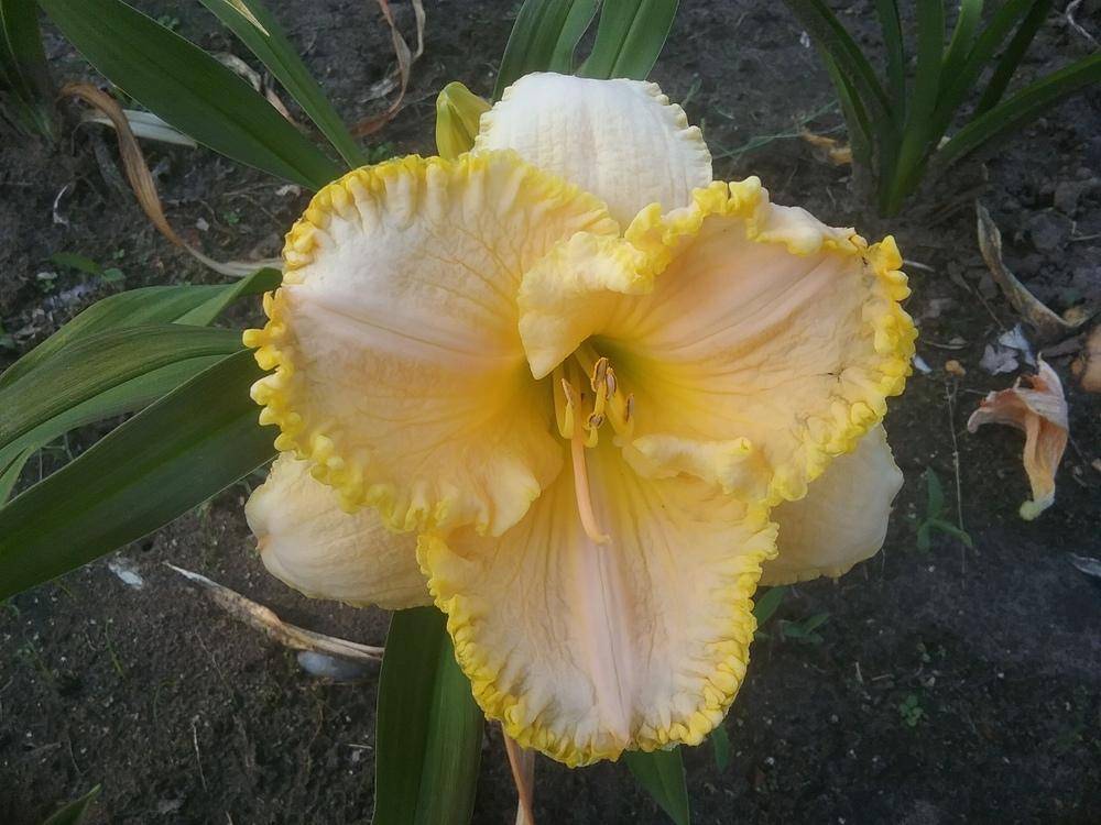 Eyecatching Garden Path Ideas