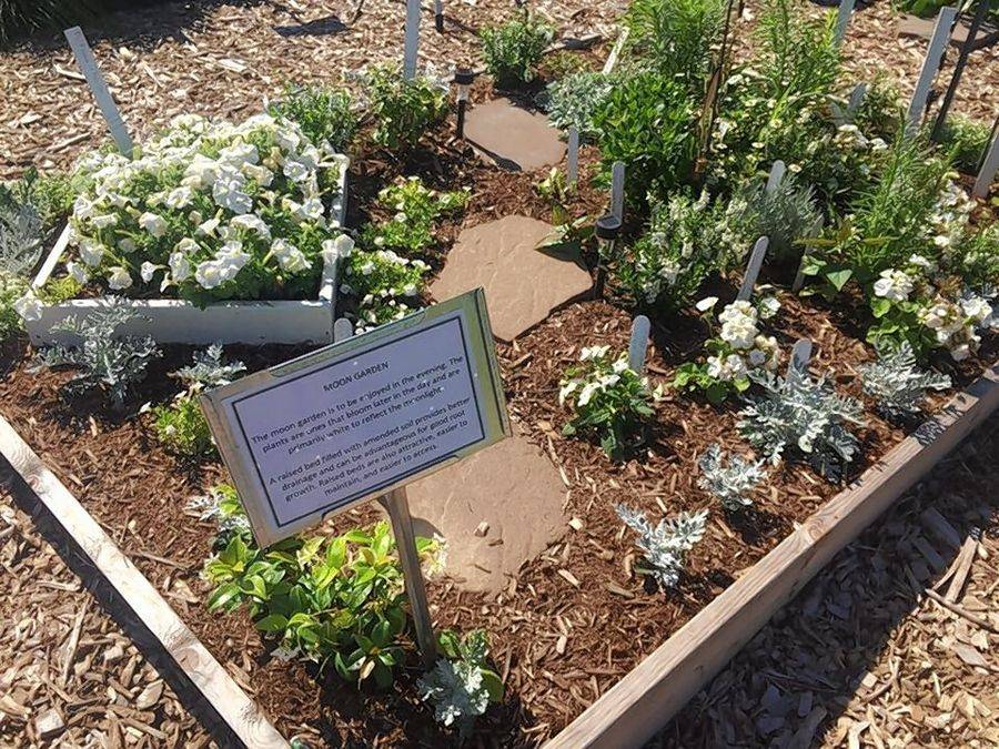 Beautiful Moon Garden