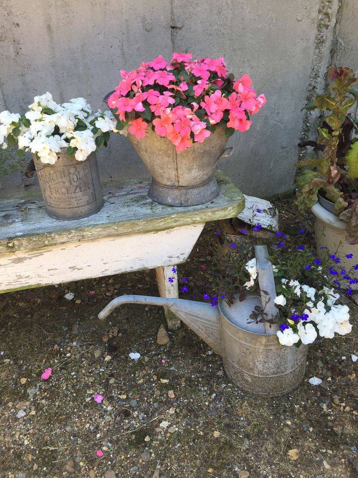 Container Planting Ideas