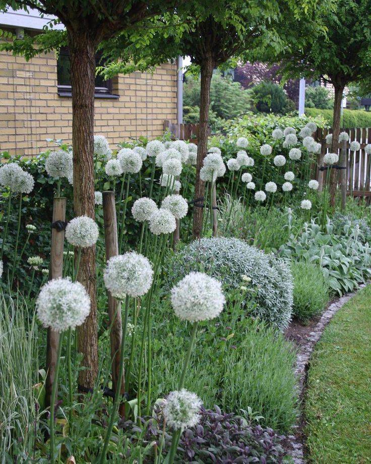 Contemporary Gardens