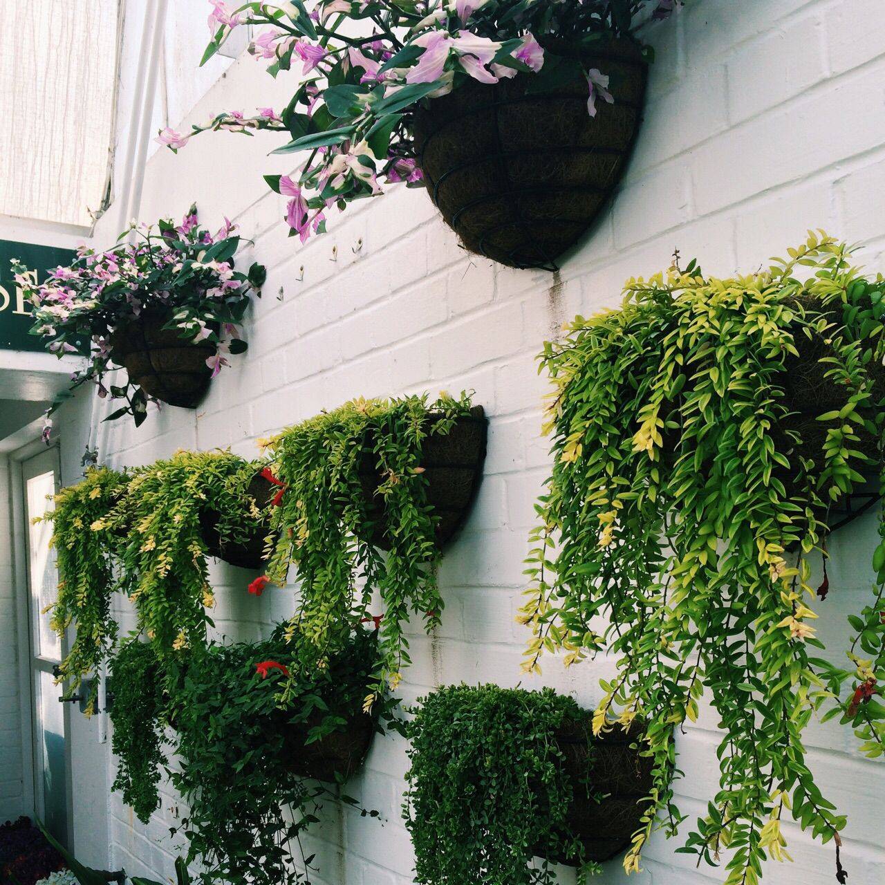 Your Landscaping Moon Garden