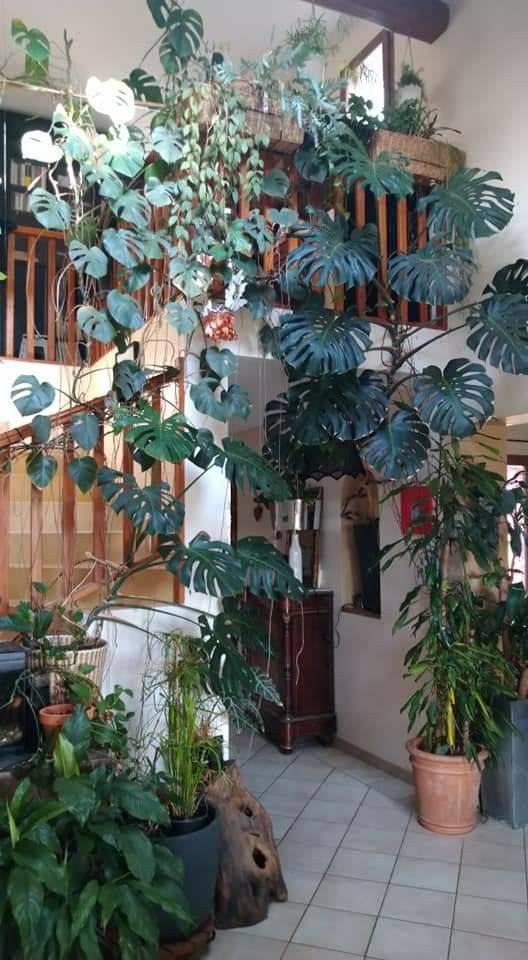 Your Landscaping Moon Garden