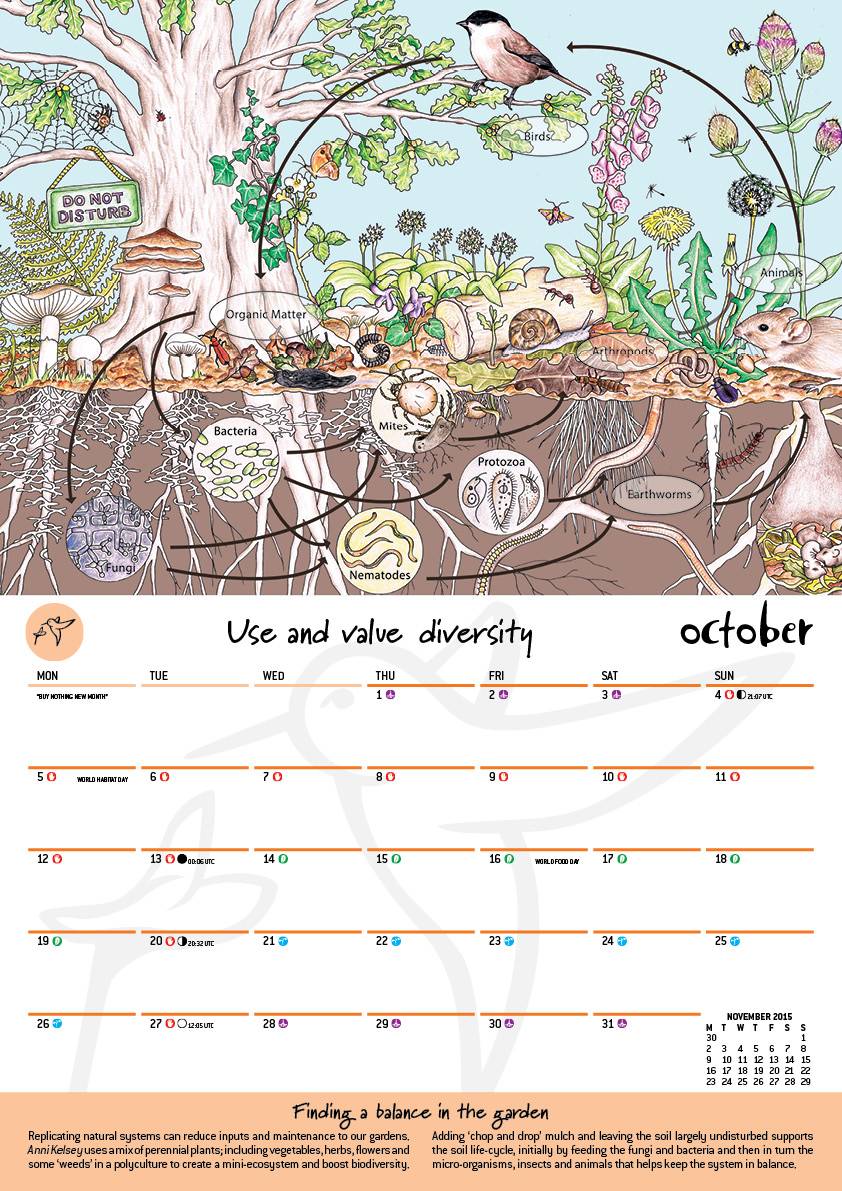 20 Moon Gardening Calendar Ideas To Try This Year SharonSable