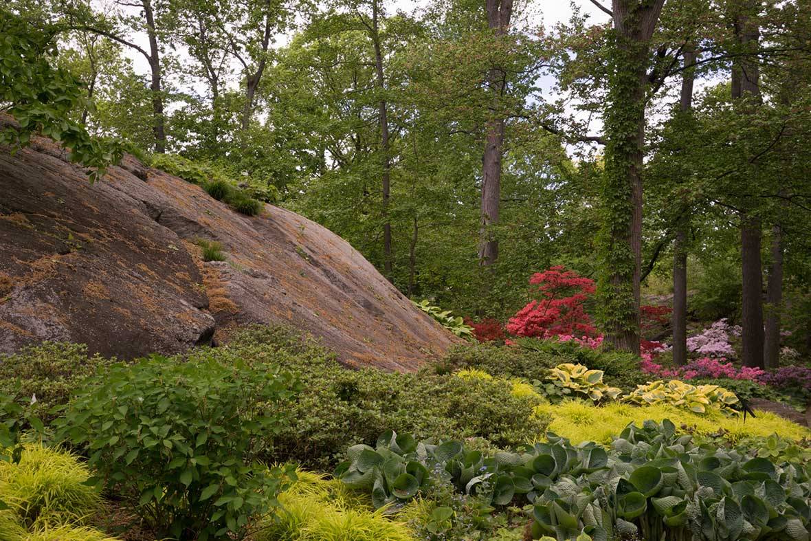 Us Botanical Gardens