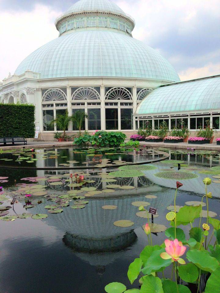 Landscape Design Principles