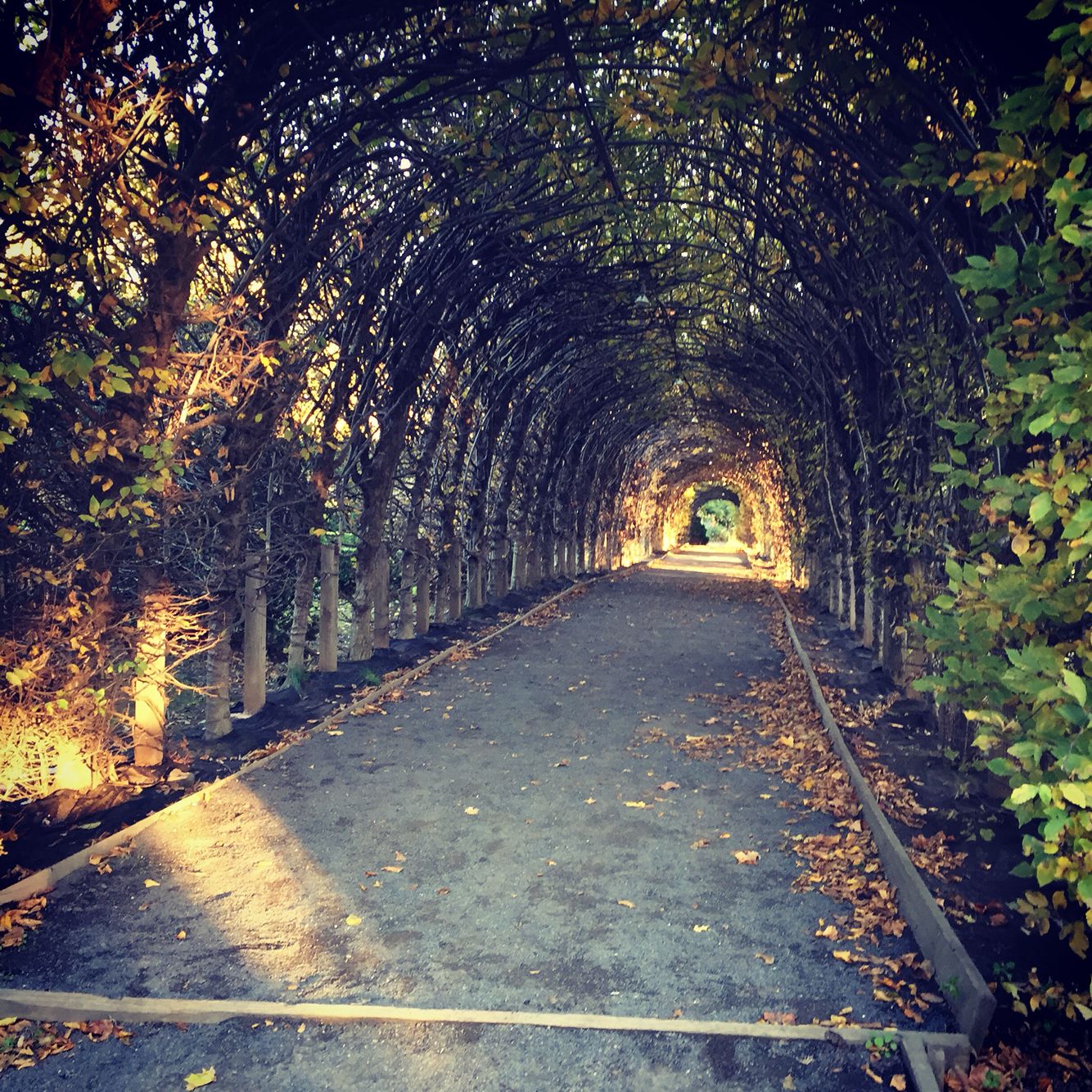 Snug Harbor Cultural Center