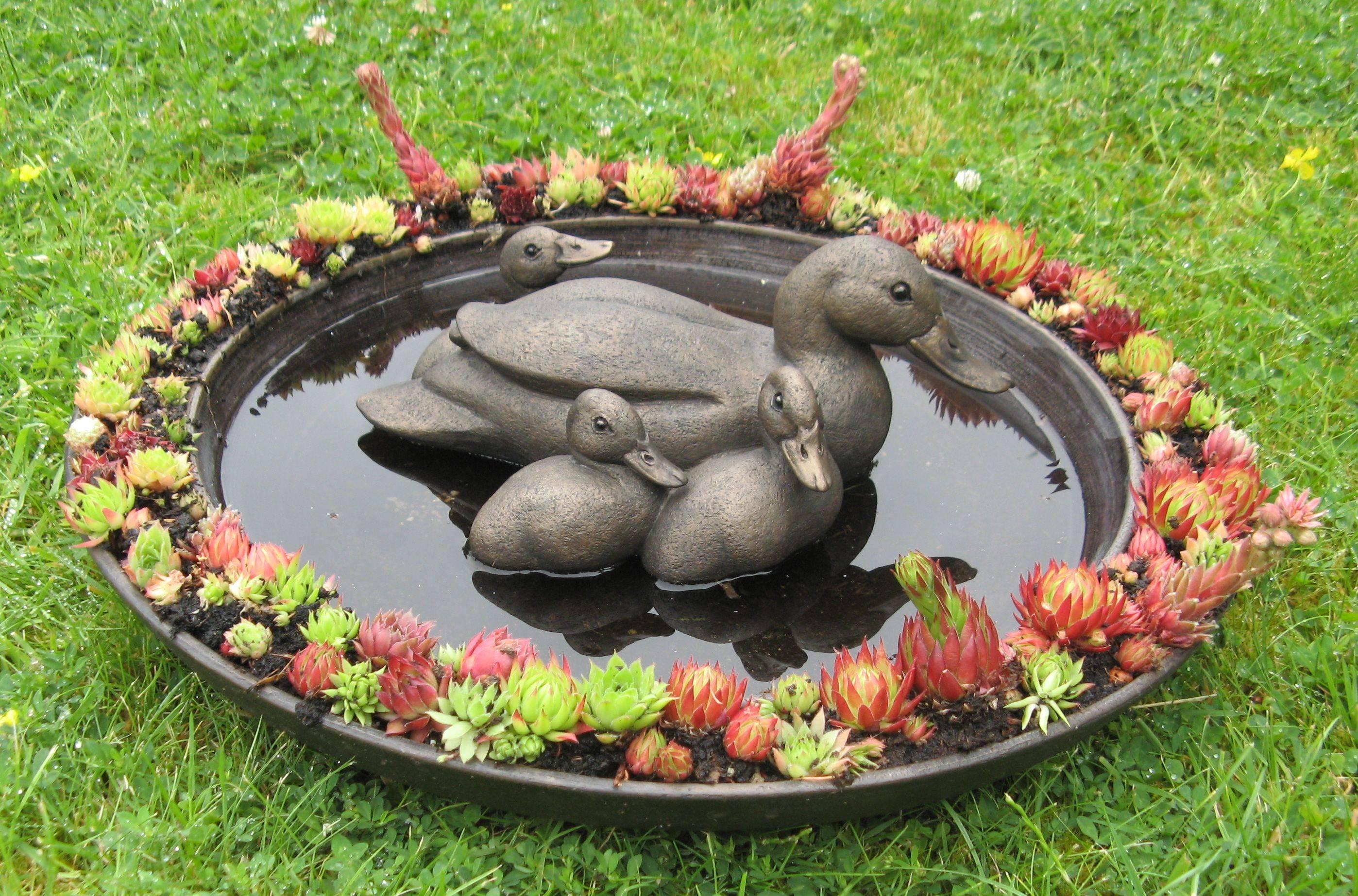 Fairy Garden Statue Garden