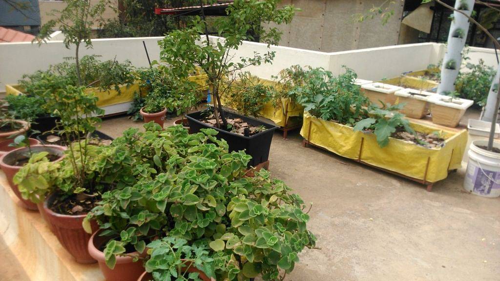 Lovely Small Flower Gardens